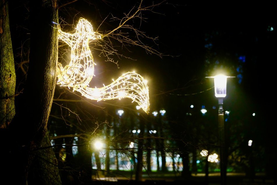 Ilustračný obrázok k článku Vianočné PREKVAPENIE v Sade Janka Kráľa: Objavte spolu s deťmi tajomné zvieratká + FOTO