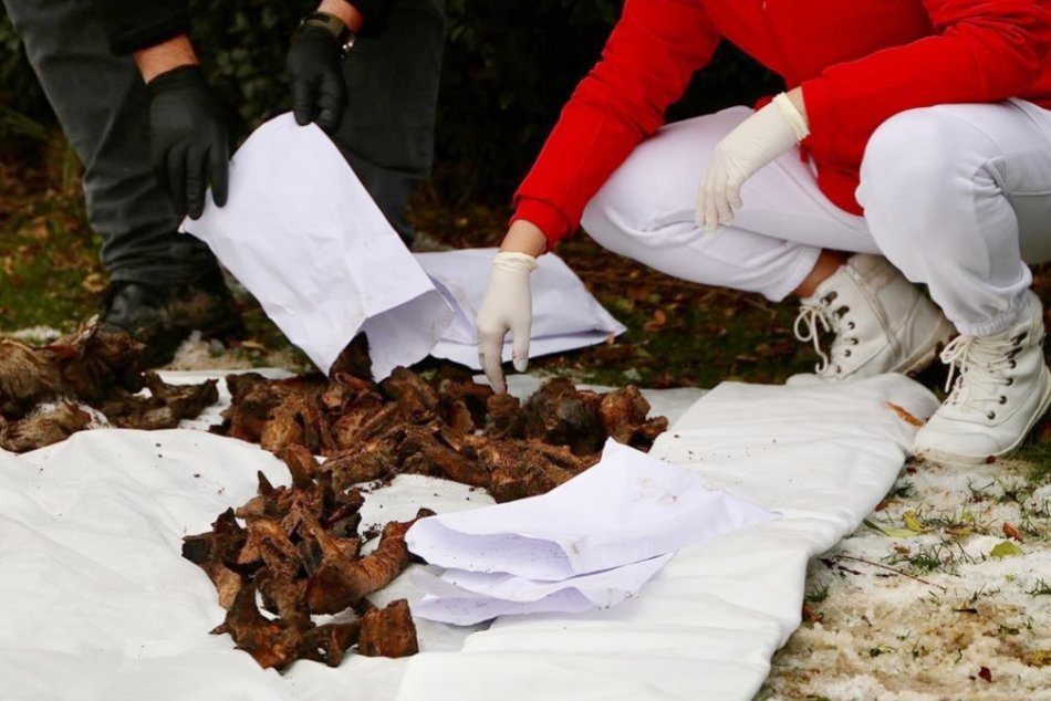 Ilustračný obrázok k článku Policajti v parku kopali dva dni: Objavili STOVKY rôznych kostí, FOTO