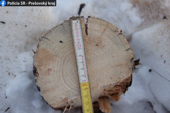 Ilustračný obrázok k článku Žeby zásoby na zimu? Popradskí policajti vyšetrujú podivnú krádež dreva
