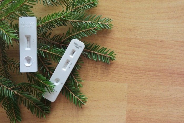 Ilustračný obrázok k článku Ako to vyzerá NAOZAJ s koronavírusom? Prvé testovania po Vianociach odhalili REALITU!