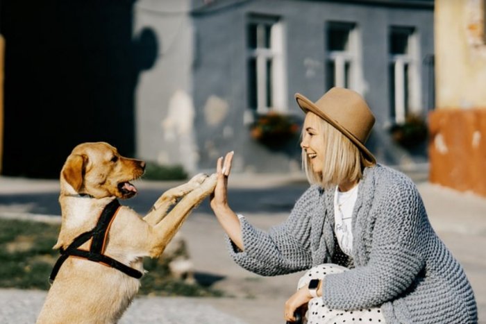 Ilustračný obrázok k článku Máte alergiu na psov? Vedci sú bližšie k prevratnej VAKCÍNE!