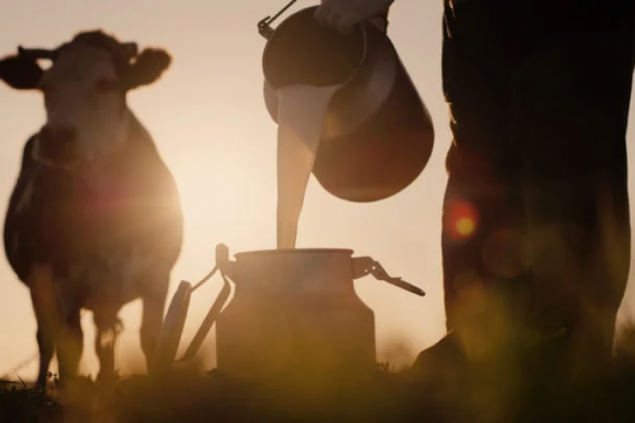 Ilustračný obrázok k článku Odborníci odhalili „zázračné“ látky na tvorbu protilátok a posilnenie imunity pred COVID-19. Toto by ste nečakali