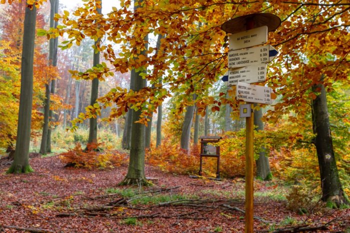 Ilustračný obrázok k článku Pobyt v prírode môže byť poučný. Spoznajte náučné chodníky v Humennom a okolí