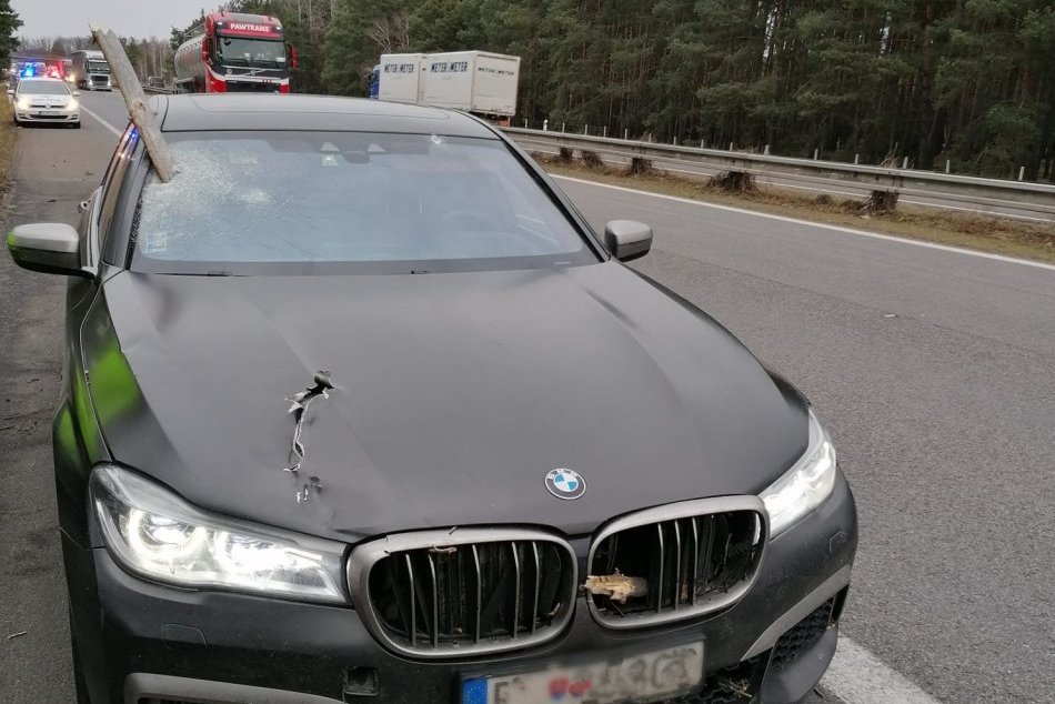 Ilustračný obrázok k článku Hrozivá udalosť na diaľnici D2: Strom spadol priamo na prechádzajúce auto, FOTO