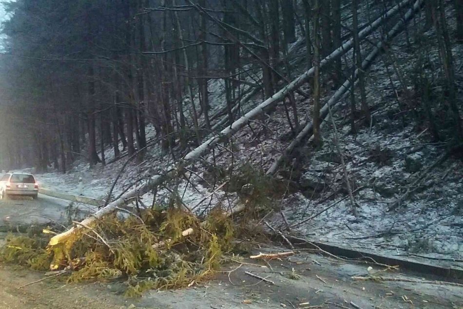Ilustračný obrázok k článku V Prešovskom kraji vyčíňal poriadny VETRISKO: Kde to bolo najhoršie?
