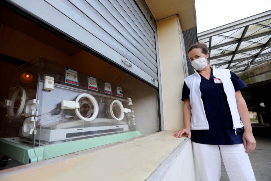 Ilustračný obrázok k článku Hniezdo záchrany v Košiciach zachránilo 20 bábätiek, FOTO