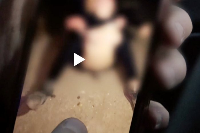 Ilustračný obrázok k článku SVET O SLOVENSKU: Krajina sa nevie spamätať z brutálneho útoku na 11-ročné dievča