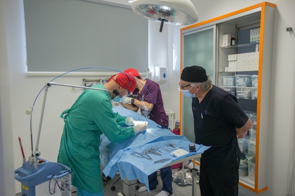 Ilustračný obrázok k článku Ako prví na Slovensku: V Žiline operujú domácich miláčikov laserovým skalpelom, FOTO
