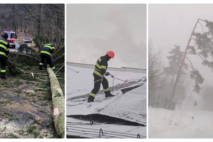 Ilustračný obrázok k článku Viaceré časti Slovenska zasiahlo MRAZIVÉ a VETERNÉ počasie: Vydané sú VÝSTRAHY!