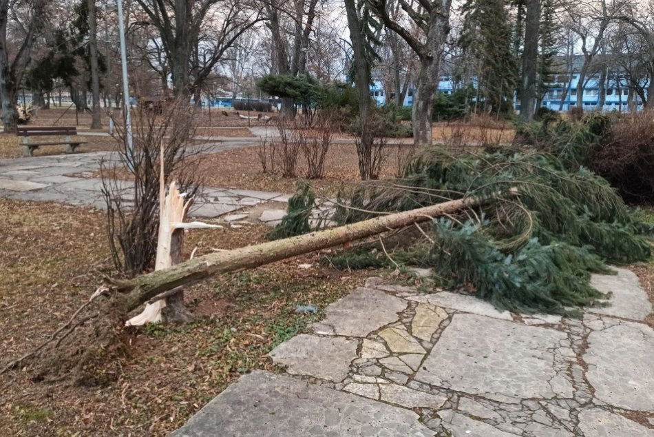 Ilustračný obrázok k článku Na Slovensko sa rúti víchrica Nadine: To najhoršie príde v PONDELOK! V Tatrách hrozí ORKÁN