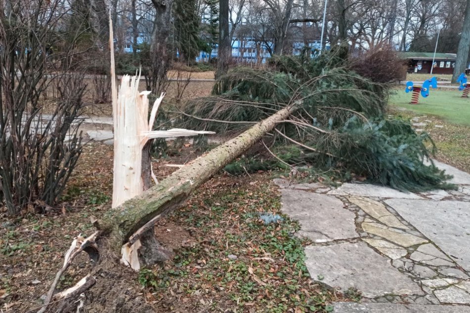 Ilustračný obrázok k článku Rúti sa na nás silný VIETOR: V Nitrianskom kraji môže fúkať rýchlosťou až 105 km/h!