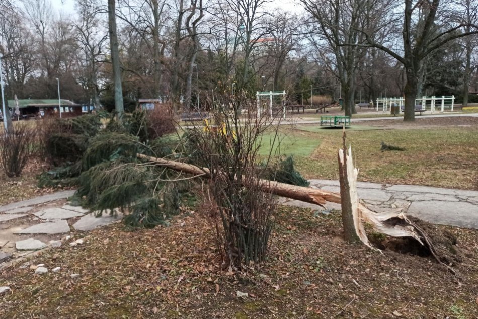 Ilustračný obrázok k článku Pozor na nástrahy počasia: Nitru varujú pred silným vetrom