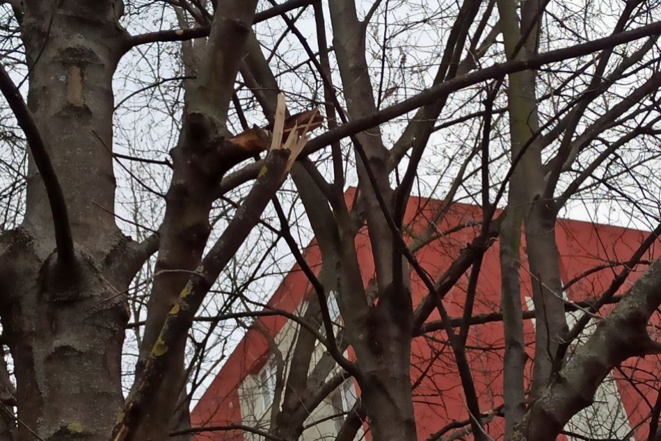 Ilustračný obrázok k článku Hasičov v Prešovskom kraji zamestnal silný vietor: KDE všade spôsobil škody?