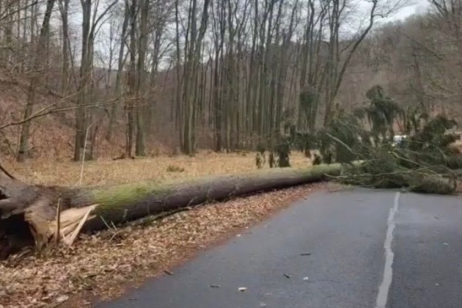 Ilustračný obrázok k článku VÍCHRICA Ylenia sa ženie Európou. Svoju NIČIVÚ silu má ukázať aj v Bratislave