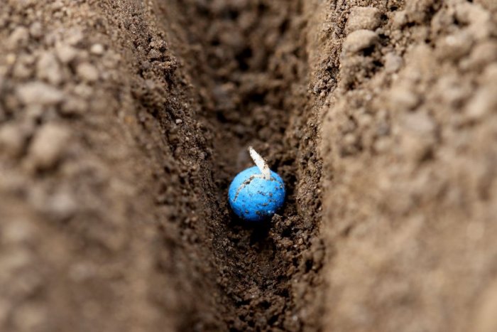 Potravinová sebestačnosť krajín je mimoriadne dôležitá.