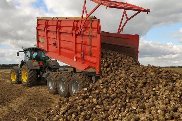 Donau Farm je najväčším zásobovateľom cukrovej repy na Slovensku.