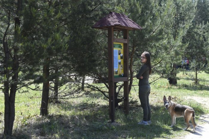 Ilustračný obrázok k článku Budú Košice zelenšie? Mesto podporí enviroprojekty, rozdelí až 50-tisíc eur