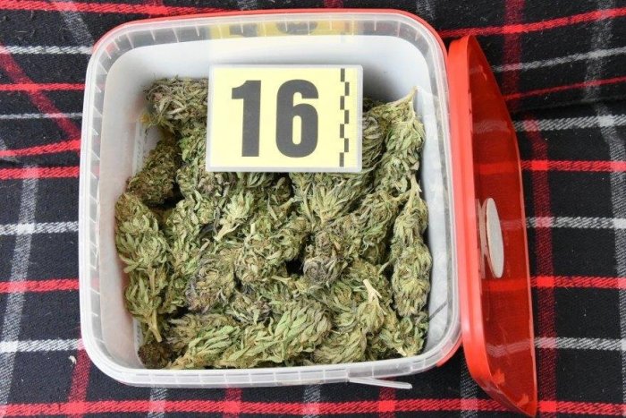 Ilustračný obrázok k článku Marihuana i pervitín: Ružomberskí policajti sa pochválili protidrogovou akciou