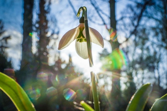 Ilustračný obrázok k článku Na Slovensko prichádza JARNÉ počasie: Teploty budú atakovať +15 °C