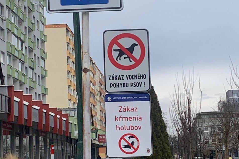 Ilustračný obrázok k článku HOLUBY, kam len pozrieš: Vo Vrakuni bojujú proti operencom aj ZÁKAZMI na tabuliach