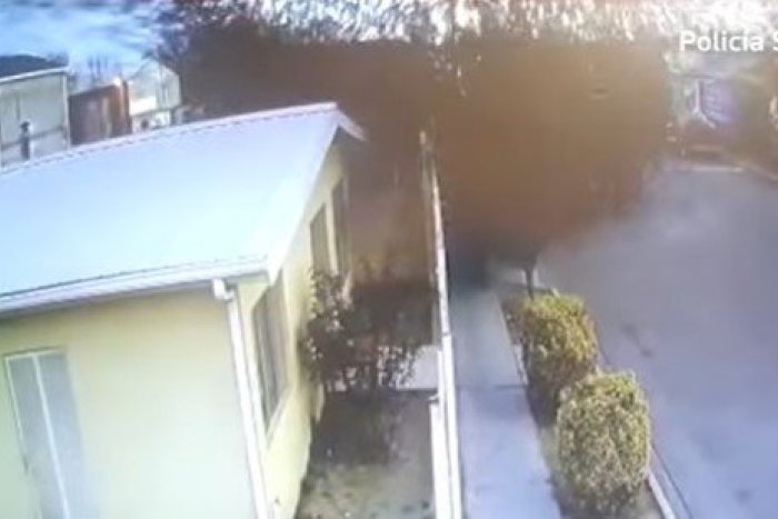 Ilustračný obrázok k článku Apokalyptické VIDEO: Z neba odrazu spadla obrovská masa vtákov, mnohé uhynuli