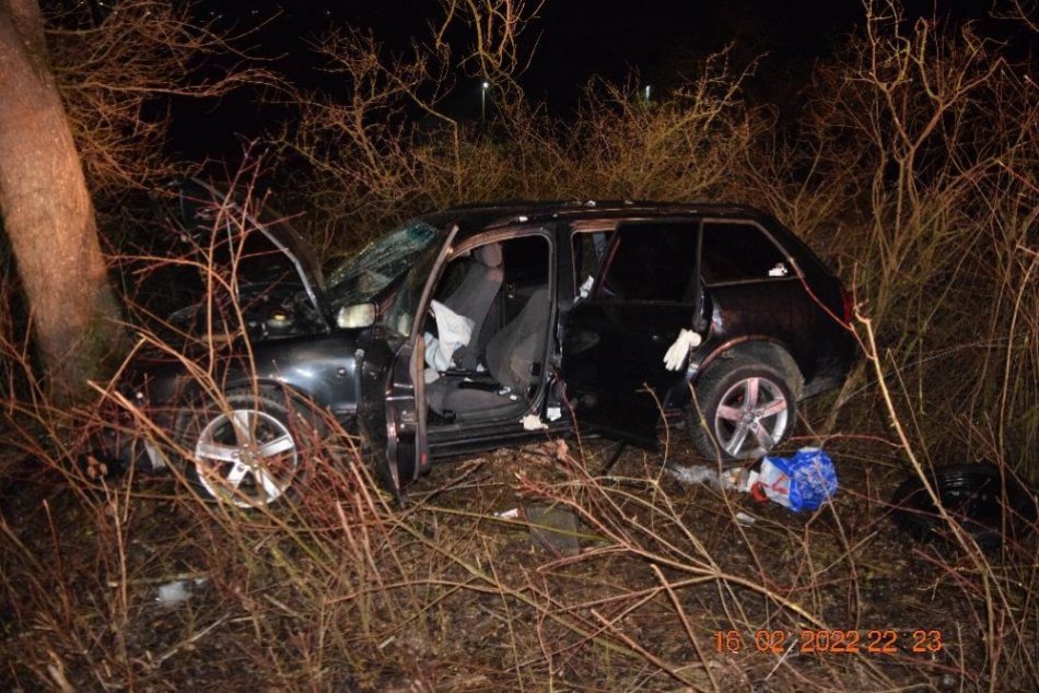 Ilustračný obrázok k článku Po náraze do stromu sa zranili 3 osoby: Vodič bol pod vplyvom drog! FOTO