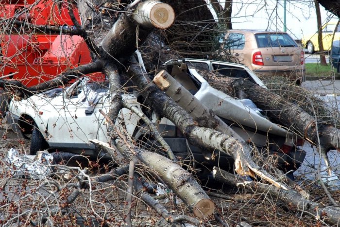 Ilustračný obrázok k článku Na Slovensku sa rozfúka silný VETRISKO: Miestami dokonca hrozí VÍCHRICA