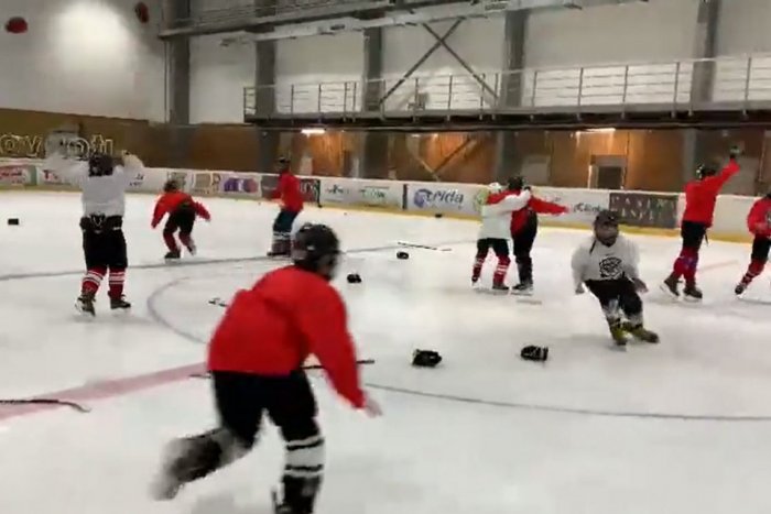 Ilustračný obrázok k článku Takto sa oslavuje postup na Slovensku! VIDEO malých hokejistov vďaka Šatanovi obletelo svet