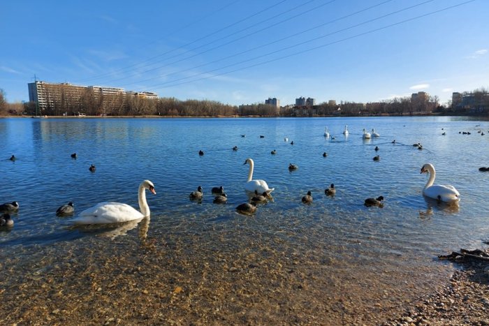 Ilustračný obrázok k článku Včera bol v Bratislave takmer "letný" deň. Padol absolútny teplotný REKORD!