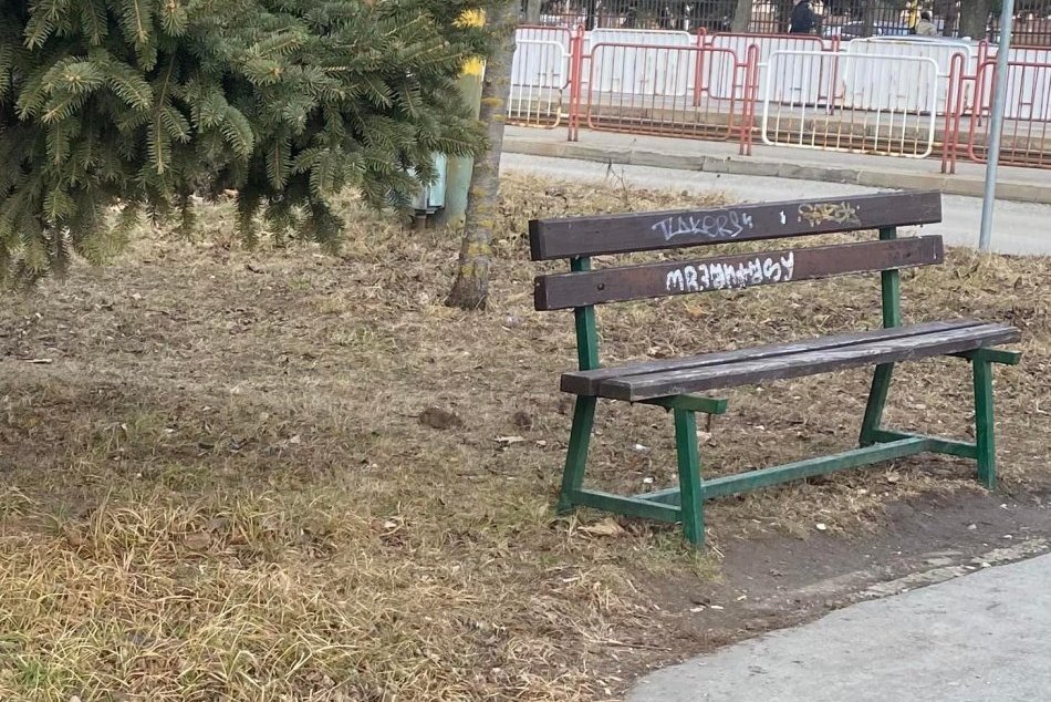 Ilustračný obrázok k článku Na túto lavičku si radšej nesadajte! Obsadili ju POTKANY, FOTO