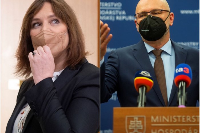 Ilustračný obrázok k článku Remišová: Sulík nech je FRAJER a odíde z vlády po ZIME. Teraz odísť je zbabelosť