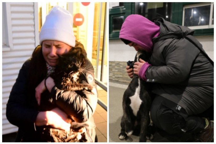 Ilustračný obrázok k článku Pred vojnou z Ukrajiny neutekajú len ľudia: Ich zvieratám môžete POMÔCŤ aj vy!