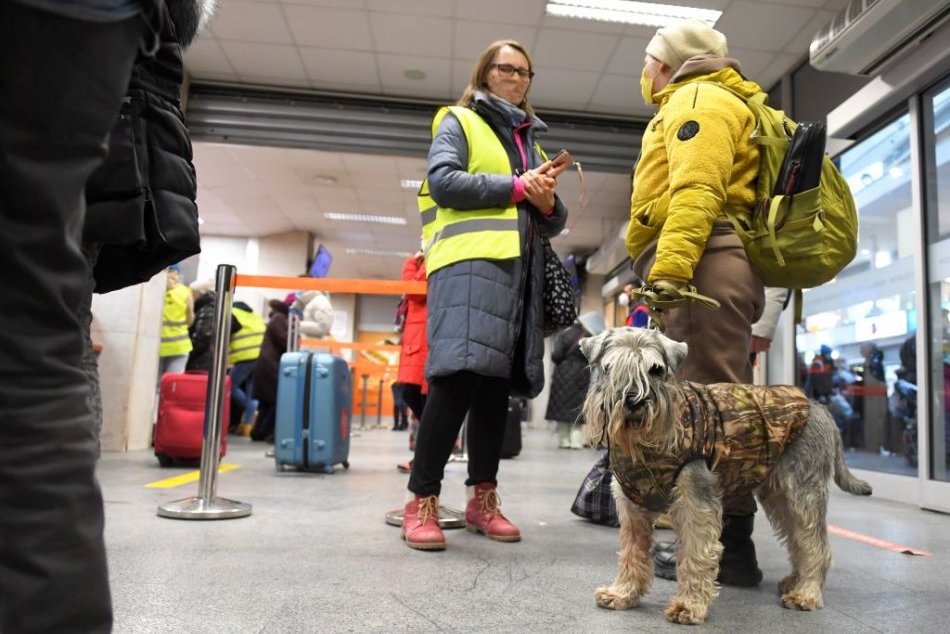 Ilustračný obrázok k článku Koľko utečencov dokáže prichýliť Zvolen? Kapacity sú obmedzené