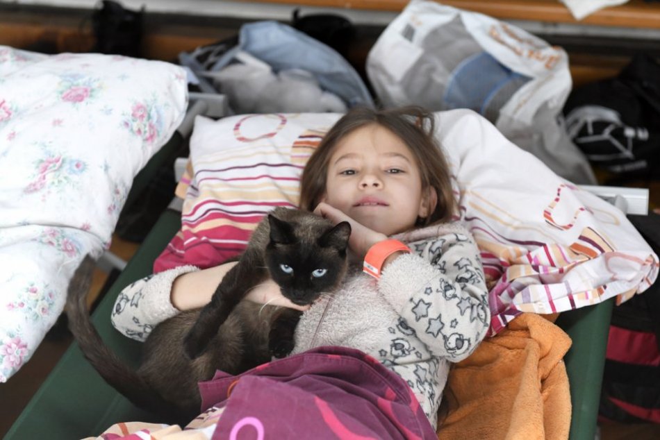 Ilustračný obrázok k článku V školskom internáte ubytovali 50 Ukrajincov: Kraj pripravuje priestory pre utečencov