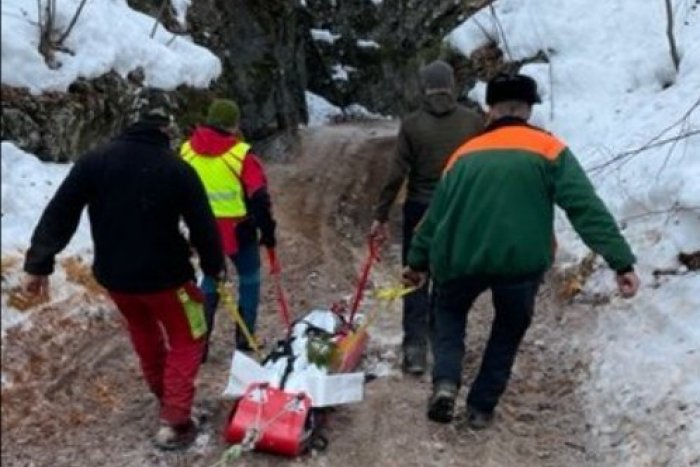 Ilustračný obrázok k článku NEŠŤASTIE pri práci: Mladého robotníka zavalil strom, nemal šancu prežiť