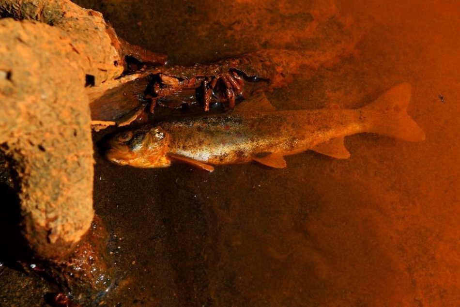 Ilustračný obrázok k článku Znečistenie Slanej je už viditeľné aj na slovensko-maďarských hraniciach