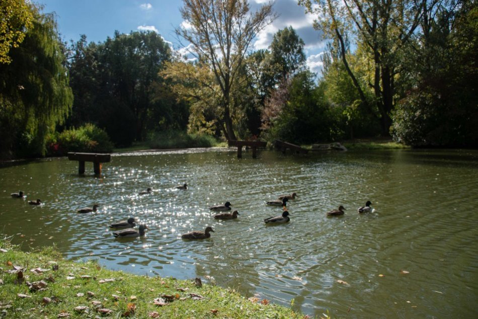 Ilustračný obrázok k článku Nový park je pred dokončením: Na hladine Malej Hangócky pribudne plastika RYBY