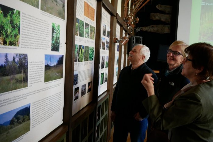 Ilustračný obrázok k článku Nevšedná výstava v Tatranskej Lomnici: Fotografie približujú tajomný svet machorastov
