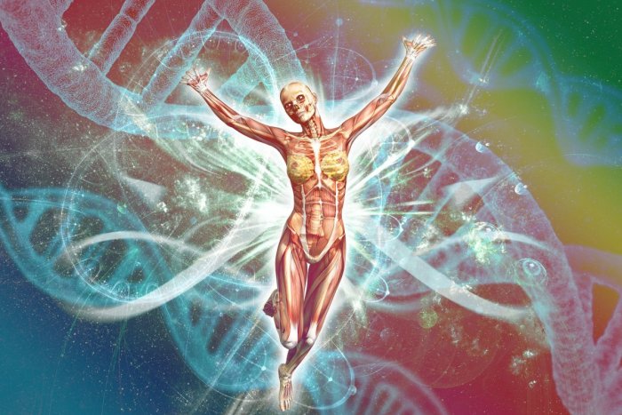 Ilustračný obrázok k článku Robili sme to doteraz zle? Briti odporúčajú predpisovať lieky podľa DNA pacientov