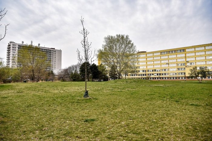 Ilustračný obrázok k článku Bratislava si pamätníkom uctí obete COVID-19. Kde ho postavia?