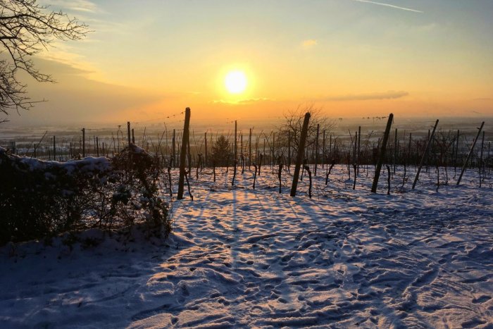 Ilustračný obrázok k článku BLÁZNIVÉ počasie nekončí: Po snežení sa PRIPRAVTE na tuhý mráz a silný vietor!