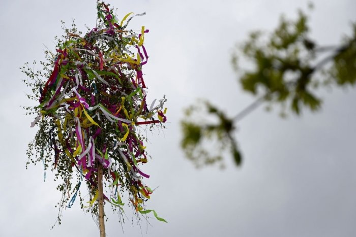 Ilustračný obrázok k článku V Huncovciach riešili KURIOZITU: Zle ukotvený máj spadol a poškodil telekomunikačné káble