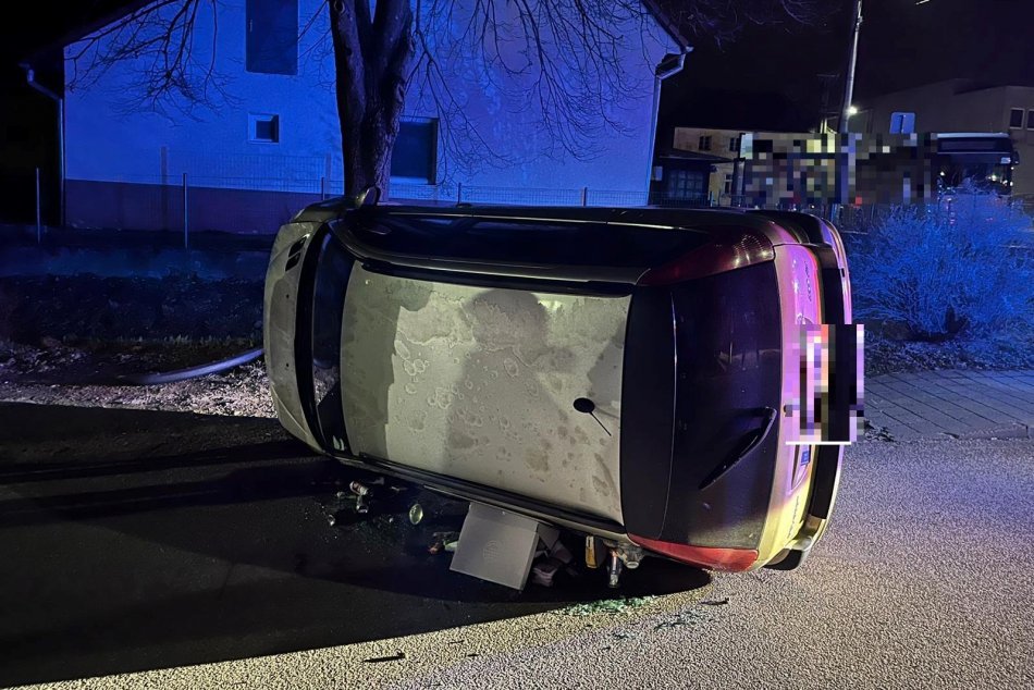 Ilustračný obrázok k článku Stromy v Trenčíne sú pevné: Zistil to už aj vodič s takmer 3 promile, FOTO