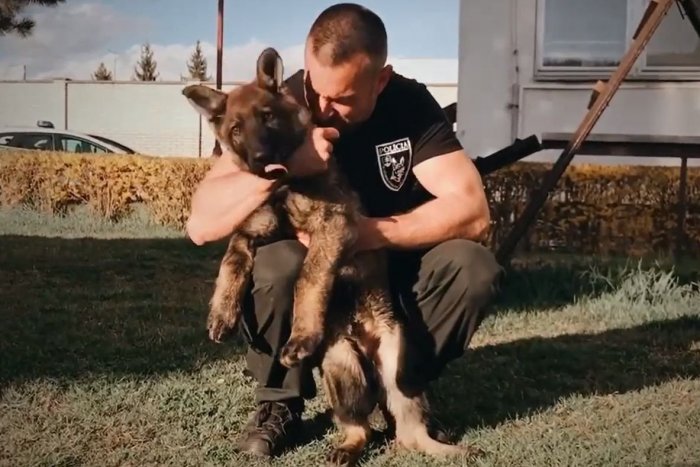 Ilustračný obrázok k článku Krajskí policajti predstavili štvornohú posilu: Harry si vás získa svojou rozkošnosťou