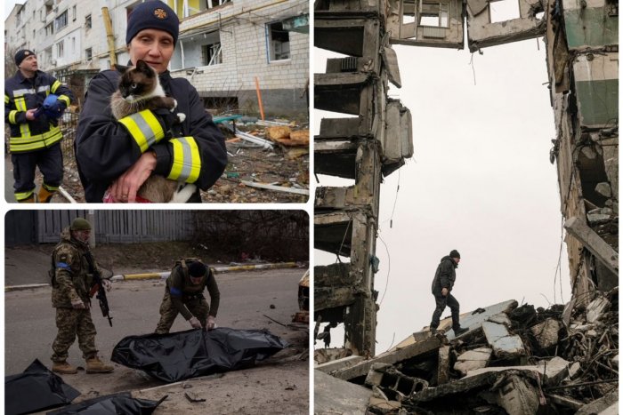 Ilustračný obrázok k článku Zelenskyj má ZLÚ správu: ZVERSTVÁ Rusov v Buči sú nič oproti tomu, čo je v Boroďanke, FOTO