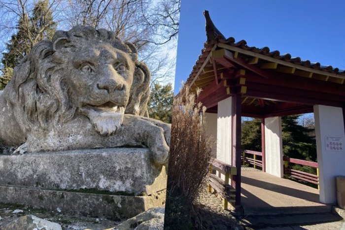 Ilustračný obrázok k článku Slovenský unikát: Najstaršie a najväčšie arborétum v strednej Európe má 130 rokov