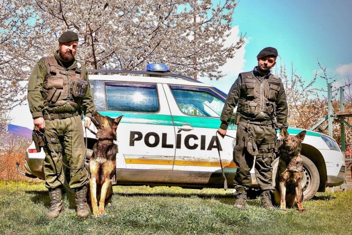 Ilustračný obrázok k článku Psovodi z Nitry zasiahli v poslednej chvíli: Zachránili život zranenej mladej žene