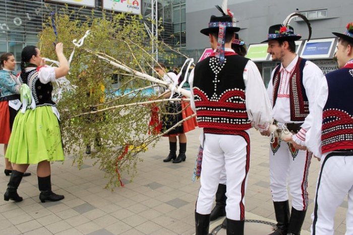 Ilustračný obrázok k článku Stavanie mája, pivný festival a bohatý PROGRAM. Blížia sa Dni TERASY