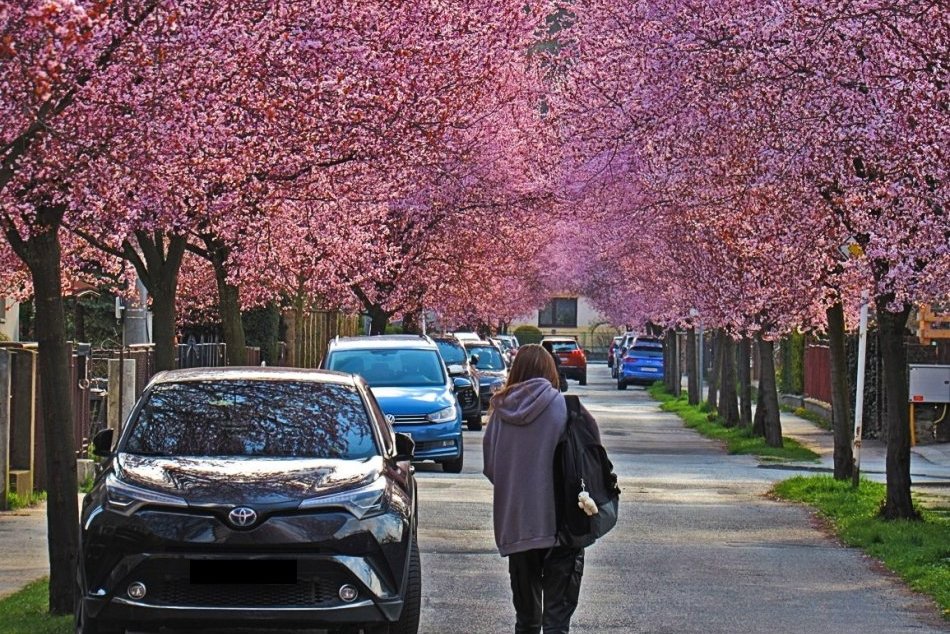 Ilustračný obrázok k článku Nielen Čapajevova: V zozname ulíc, ktoré majú premenovať sú aj Mičurinova či Exnárova