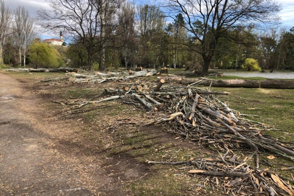 Ilustračný obrázok k článku Čo sa deje v Mestskom parku v Nitre? Ľudia ostali pri tomto pohľade ZHROZENÍ